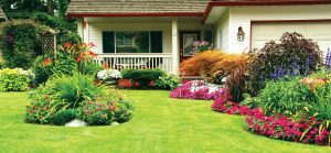 Trusted Home & Garden Reviews Backed by Research